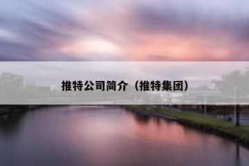 推特公司简介（推特集团）
