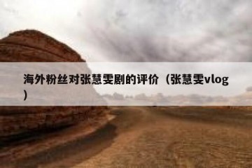 海外粉丝对张慧雯剧的评价（张慧雯vlog）