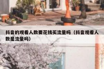抖音的观看人数要花钱买流量吗（抖音观看人数是流量吗）