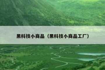 黑科技小商品（黑科技小商品工厂）