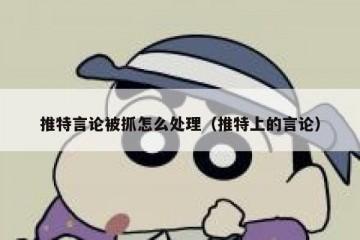 推特言论被抓怎么处理（推特上的言论）