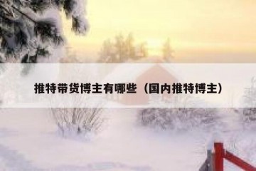 推特带货博主有哪些（国内推特博主）