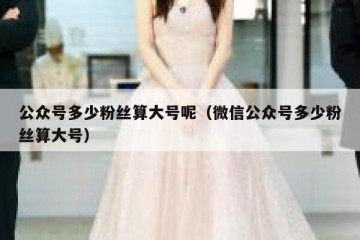 公众号多少粉丝算大号呢（微信公众号多少粉丝算大号）