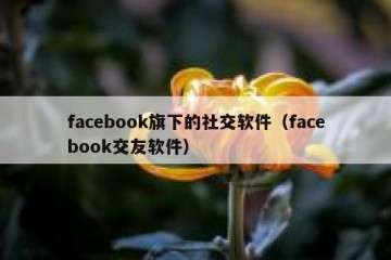 facebook旗下的社交软件（facebook交友软件）