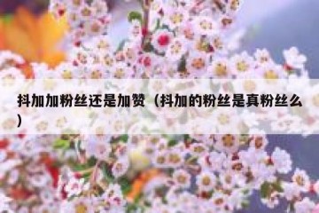 抖加加粉丝还是加赞（抖加的粉丝是真粉丝么）