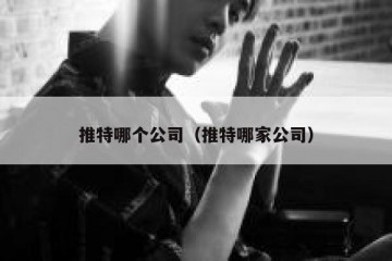 推特哪个公司（推特哪家公司）
