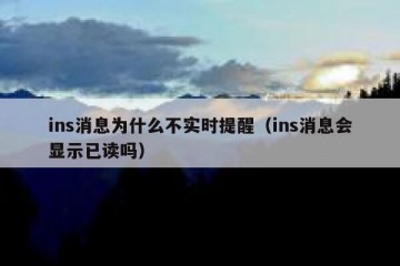ins消息为什么不实时提醒（ins消息会显示已读吗）