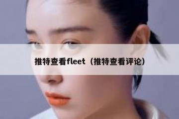 推特查看fleet（推特查看评论）