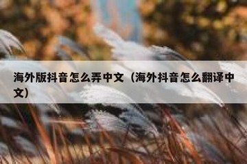 海外版抖音怎么弄中文（海外抖音怎么翻译中文）