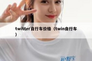 twitter自行车价格（twin自行车）