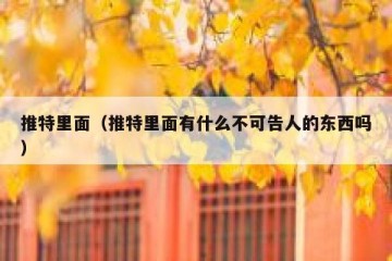 推特里面（推特里面有什么不可告人的东西吗）