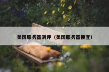美国服务器测评（美国服务器便宜）