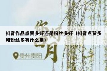 抖音作品点赞多好还是粉丝多好（抖音点赞多和粉丝多有什么用）