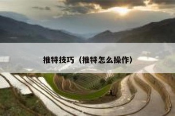 推特技巧（推特怎么操作）
