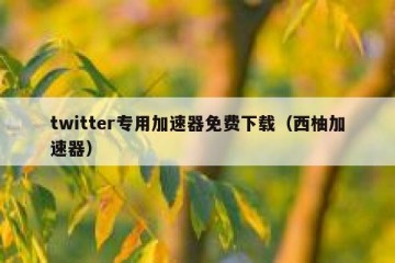 twitter专用加速器免费下载（西柚加速器）