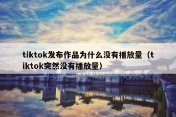tiktok发布作品为什么没有播放量（tiktok突然没有播放量）