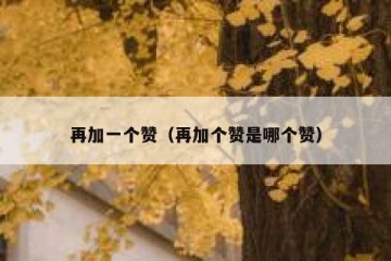 再加一个赞（再加个赞是哪个赞）