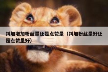 抖加增加粉丝量还是点赞量（抖加粉丝量好还是点赞量好）
