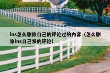 ins怎么删除自己的评论过的内容（怎么删除ins自己发的评论）
