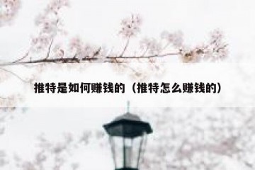 推特是如何赚钱的（推特怎么赚钱的）
