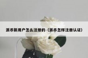 派币新用户怎么注册的（派币怎样注册认证）