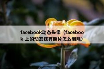 facebook动态头像（facebook 上的动态还有照片怎么删除）