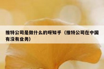 推特公司是做什么的呀知乎（推特公司在中国有没有业务）
