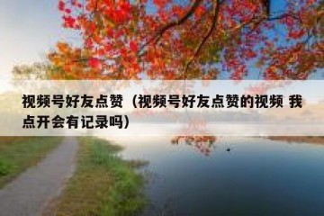 视频号好友点赞（视频号好友点赞的视频 我点开会有记录吗）