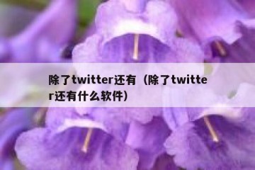 除了twitter还有（除了twitter还有什么软件）