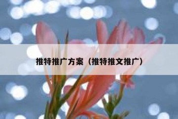 推特推广方案（推特推文推广）