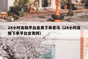 24小时自助平台业务下单老马（24小时自助下单平台业务网）