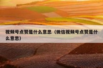 视频号点赞是什么意思（微信视频号点赞是什么意思）