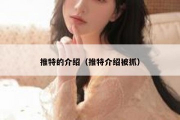 推特的介绍（推特介绍被抓）