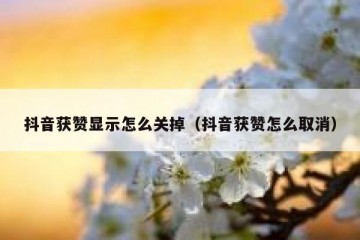 抖音获赞显示怎么关掉（抖音获赞怎么取消）