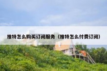 推特怎么购买订阅服务（推特怎么付费订阅）