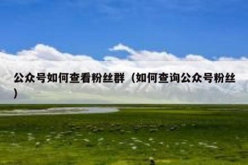 公众号如何查看粉丝群（如何查询公众号粉丝）