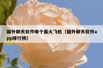 国外聊天软件哪个最火飞机（国外聊天软件app排行榜）