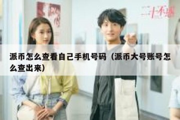 派币怎么查看自己手机号码（派币大号账号怎么查出来）