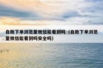 自助下单浏览量微信能看到吗（自助下单浏览量微信能看到吗安全吗）