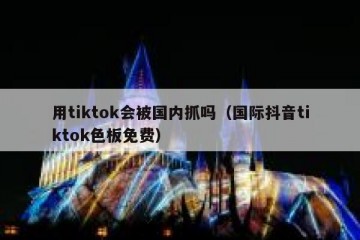 用tiktok会被国内抓吗（国际抖音tiktok色板免费）