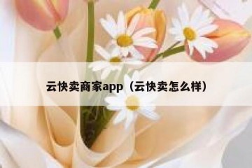 云快卖商家app（云快卖怎么样）