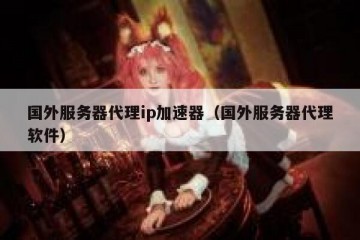 国外服务器代理ip加速器（国外服务器代理软件）