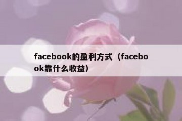 facebook的盈利方式（facebook靠什么收益）