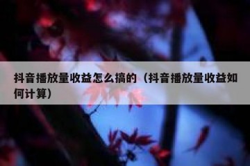 抖音播放量收益怎么搞的（抖音播放量收益如何计算）