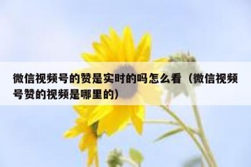 微信视频号的赞是实时的吗怎么看（微信视频号赞的视频是哪里的）
