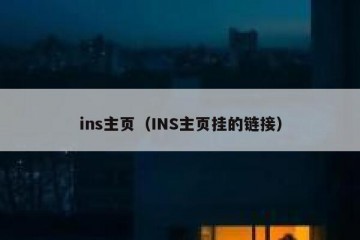 ins主页（INS主页挂的链接）