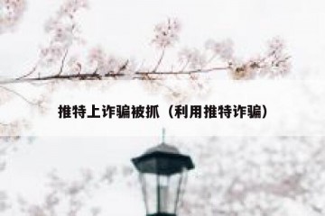 推特上诈骗被抓（利用推特诈骗）
