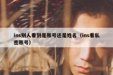ins别人看到是账号还是姓名（ins看私密账号）