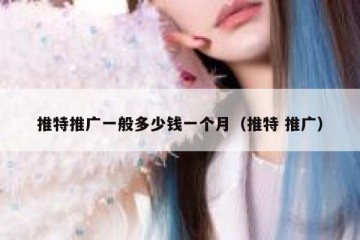 推特推广一般多少钱一个月（推特 推广）