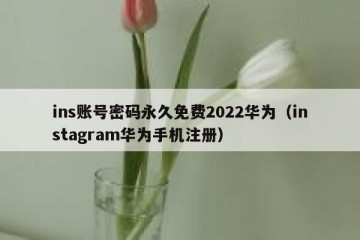 ins账号密码永久免费2022华为（instagram华为手机注册）